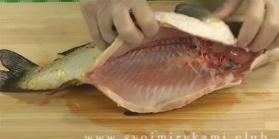 Ako variť xe ryby doma: recept zo sumca (s fotografiou) xe z kórejského jazyka