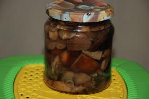 Заготавливаем свинушки на зиму - подборка лучших рецептов Как приготовить грибы свинушки соленые