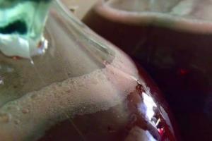 Domáce víno z moruše: pokyny a recepty krok za krokom