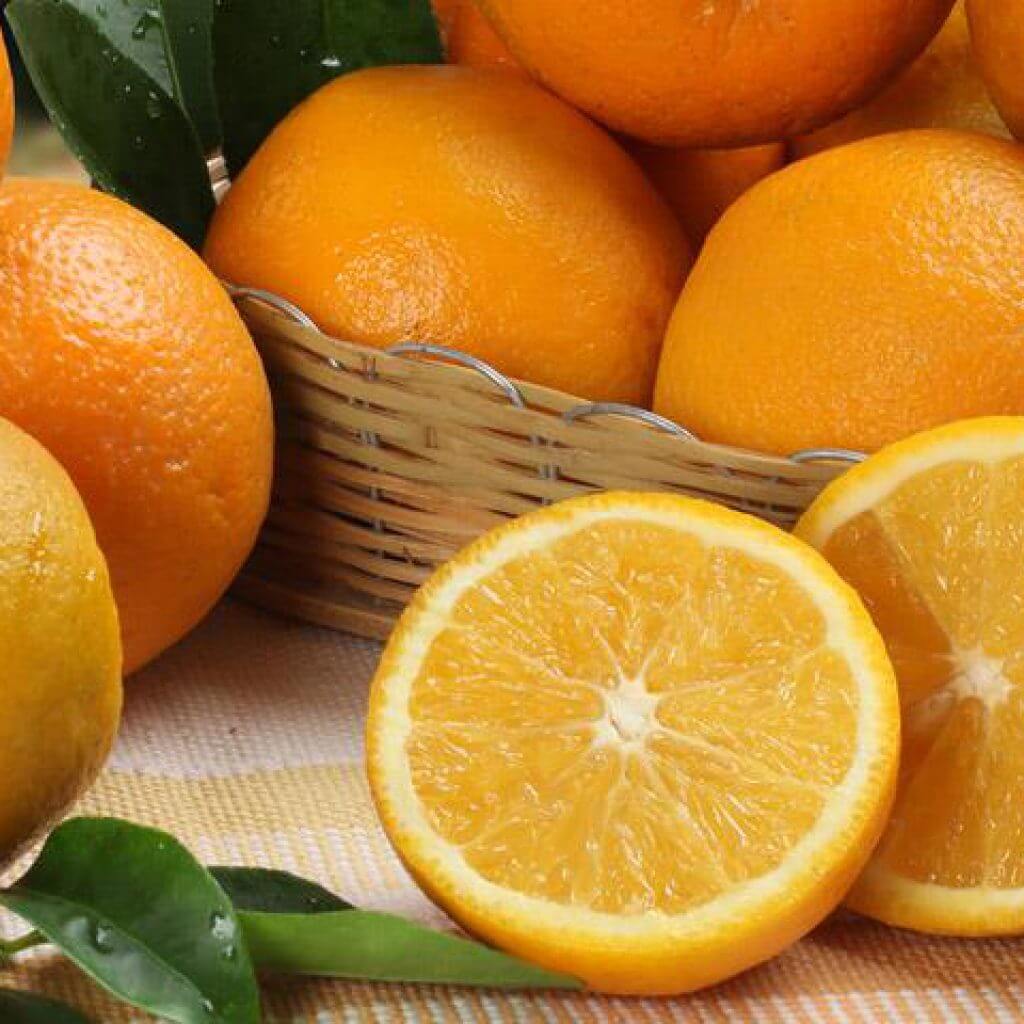 オレンジソース-肉と魚のレシピ