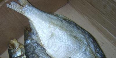 Všetky tajomstvá správneho solenia a sušenia rýb doma