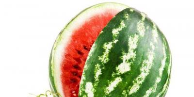 Ako si vybrať zrelý a chutný melón Ako zistiť, či je melón zrelý